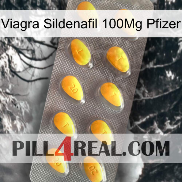 Viagra Sildenafil 100Mg Pfizer cialis1.jpg